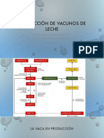 Producción de Vacunos de Leche - Vacas en Lactancia