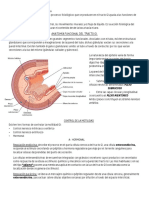  Motilidad Gastrointestinal