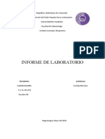 Informe Laboratorio