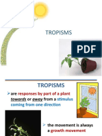 Tropism in Plants