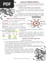 Linhas Do Cuidado Integral - 08.03