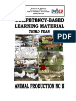 Animal Production Y3