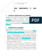 Empresa Mercantil DOCUMENTO