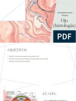 Ojo Histologia