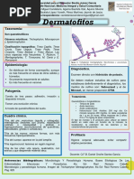 Dermatofitos Itzel