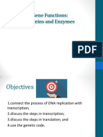 Lecture5 - Gene Functions - Proteins and Enzymes