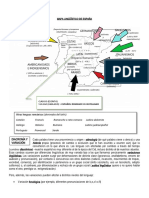 Lexico y Morfosintaxis 1