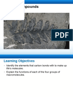 Carbon Compounds