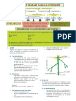 FICHA-Partes-de-las-Plantas - PRIMERO