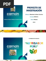 Trabajo de Investigación Final