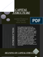 Capital Structure.. 10542022063