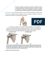 Anatomia Examen Teorico Practico Unidad 2 Nuevo