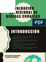 E.N. de Heridas Cronicas