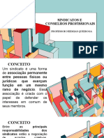 Aula 03-05-23 - Sindicatos e Conselhos Profissionais