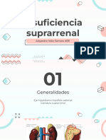 Insuficiencia Suprarrenal