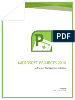 MS Projects User Guide