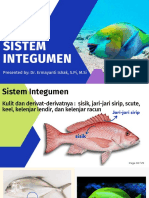 Sistem Integumen - Spada