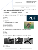 Cs. Naturales - Prueba - Vertebrados