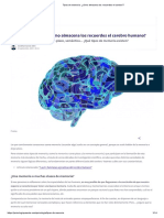 BTipos de Memoria - ¿Cómo Almacena Los Recuerdos El Cerebro