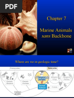 Chapter 7 - Porifera