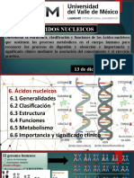 CLASE 15. Ácidos Nucleicos COMPLETA