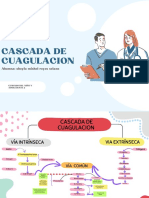 Mapa Conceptual Cascada de Cuagulación