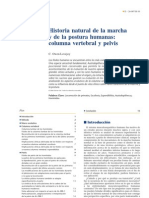 Historia Natural de La Marcha Y de La Postura Humana, Columna Vertebral Y Pelvis