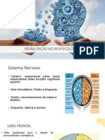 Aula Reabilitação Neuropsicológica