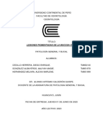 Lesiones Pigmentadas de La Mucosa Oral