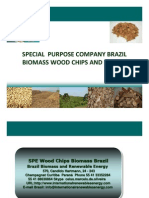 News Brazil Biomass Export Wood Chips