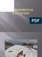 Environmental Pollution