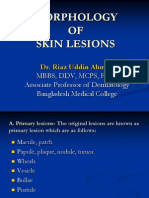 Morphology of Skin Lesions