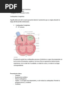 Cardiopatia Cianotica