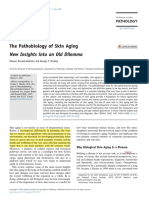 A Patobiologia Da Pele No Envelhecimento - American Pathology Journal