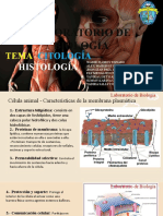 Citologia e Histologia Humana