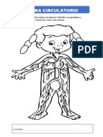 Sistema-Circulatorio 2023