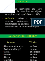 Clase 3. Perifiton (Agua Dulce)