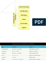 C11 Enzimas 2