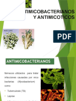 Defenza de Antimicoticos y Antifungicos