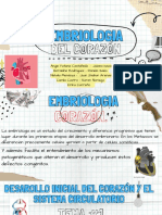 Embriologia Cardiaca