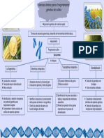 Mapa - Ciencias Omicas para El Mejoramiento de Cultivos