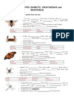 Animals Vertebrates-And-Invertebrates