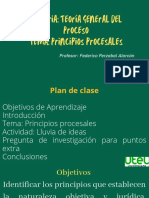 Oc 3 Principios Procesales TGP R