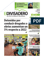 Publicación Diario El Divisadero