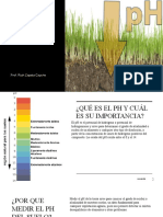 El PH y La Acidez Del Suelo