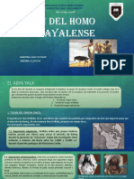 Tema N°2 Origen Del Homo Abyayalense