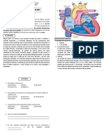 Junio 09 Anatomía Tercero