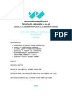 Biología Practica 6