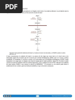 9.02 Metabolismo Del Alcohol