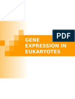 Gene Expression in Eukaryotes